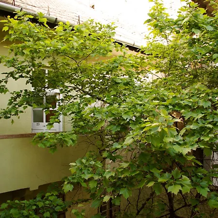 Easy Star Hotel